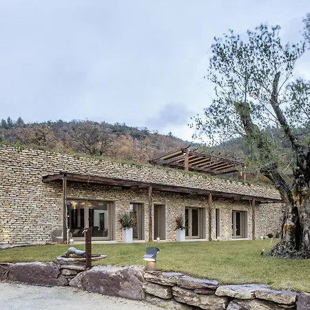 San Francesco - Teloni Assisi