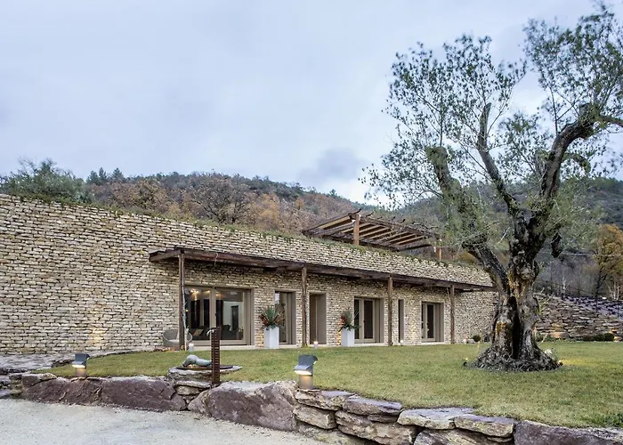 San Francesco - Teloni アッシジ