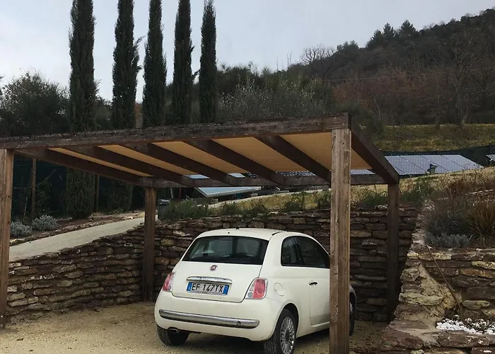 San Francesco - Teloni